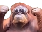 Avatar de LeMonke53