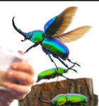 Avatar de LeProblemoDel