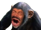 Avatar de LeRoiMacaque