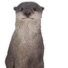 Avatar de LoutreDeMerde