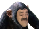 Avatar de Macaque_risible