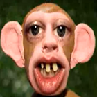 Avatar de macaquepasa