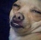 Avatar de MacaroniTime21