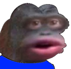 Avatar de maitremacaqueca