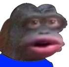 Avatar de maitremacaqueco