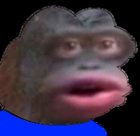 Avatar de maitremacaquemg