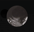 Avatar de maure-gnostique