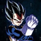 Mester_vegeta