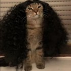 Avatar de minou-aubry