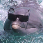 Avatar de mm3duse