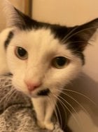 Avatar de modopuceau2z