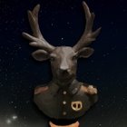 MrToto231201