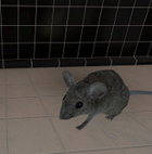 Avatar de MulholandDrive