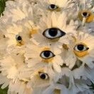 Avatar de ninoucheent