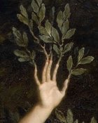 Avatar de Nymphefidele