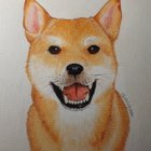 Avatar de OdinShibaH