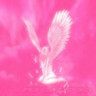 Avatar de oeufpascuite13