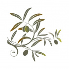 Avatar de olivierdebuis