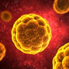 Avatar de Oracle_Telegram