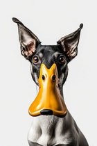 Avatar de OuafLaVache