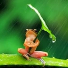 Avatar de OuttaNowh3re