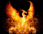 Avatar de phoenix0327