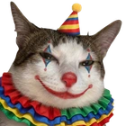 Avatar de Pipi_Safari