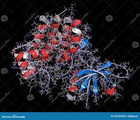 Avatar de ProteineKinage2