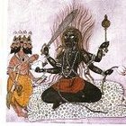 Rajanimus