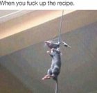 Avatar de Ranplanplaan