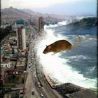 Avatar de RatDeMarais