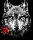 Rosenwolf