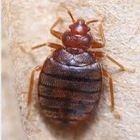 Avatar de RSAlcoolique