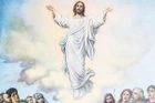 Saintpatch