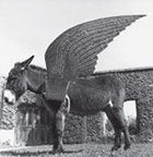 Avatar de Saumsung_666