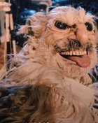 Avatar de sdfdream60