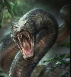 Avatar de Serpent_Alpha