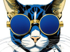 Avatar de ShahPuantica
