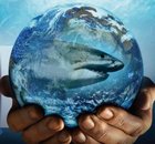 Avatar de Sharkwater