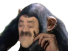 Avatar de SingeDeLaBourse