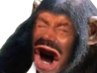Avatar de SingeSingeur