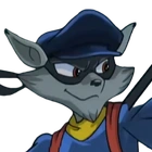 Sly-Raccoon