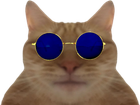 Avatar de tarax_alsacien