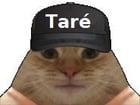 Avatar de taredu86