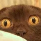 Avatar de Terry150heures