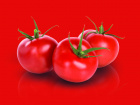 Avatar de TomatoRouge
