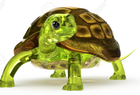 Avatar de TortueVenere