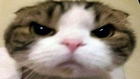 Avatar de toutseul_