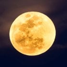 Avatar de TroisiemeLune