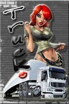 truckdriver86